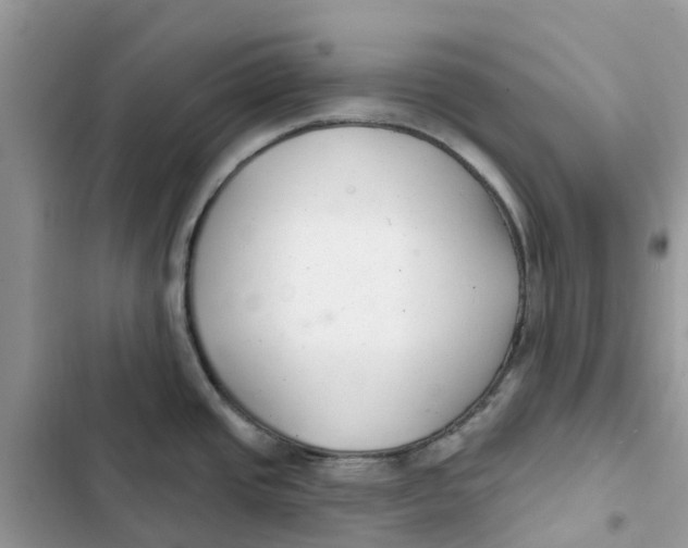 X0000103281437200809191756