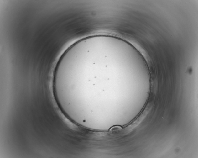 X0000103281438200809191756