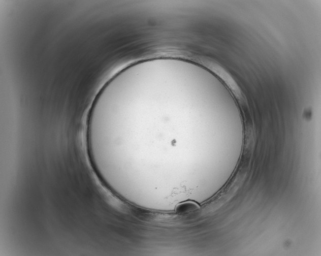 X0000103281439200809191756