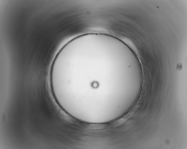 X0000103281440200809191756