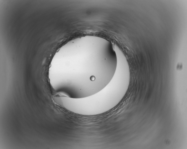 X0000103281441200809191755