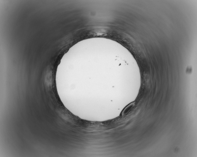 X0000103281442200809191755