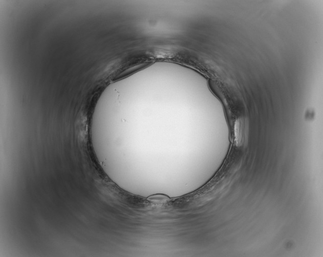 X0000103281443200809191755