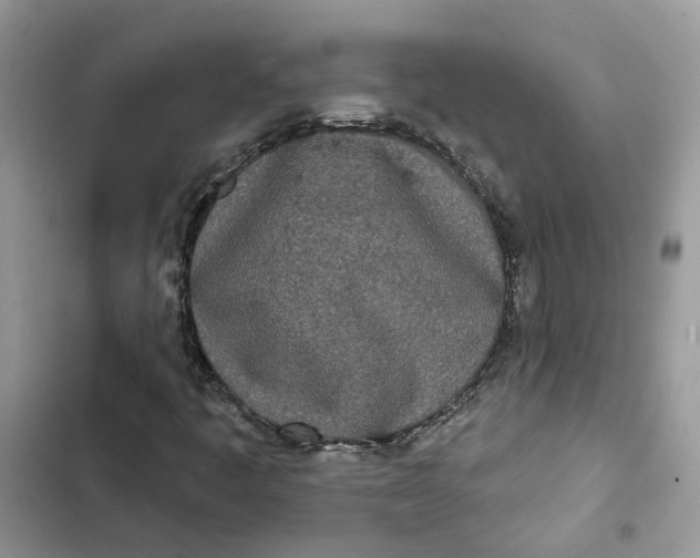 X0000103281445200809191755