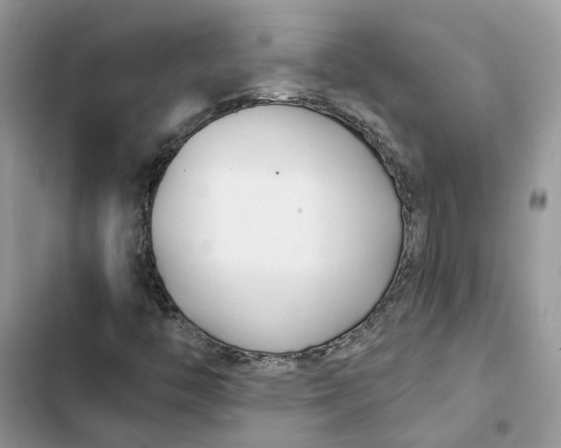 X0000103281446200809191755