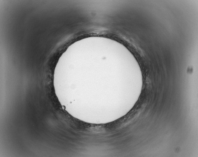 X0000103281447200809191755