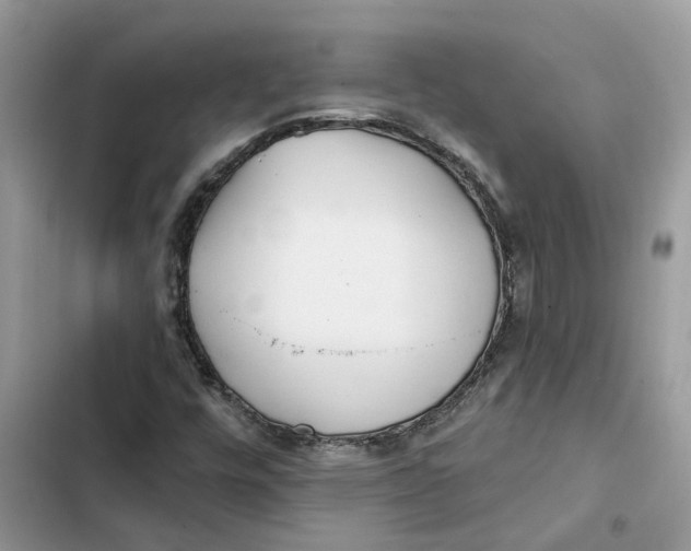 X0000103281448200809191755