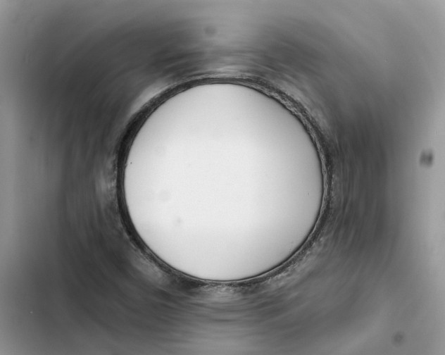 X0000103281450200809191755