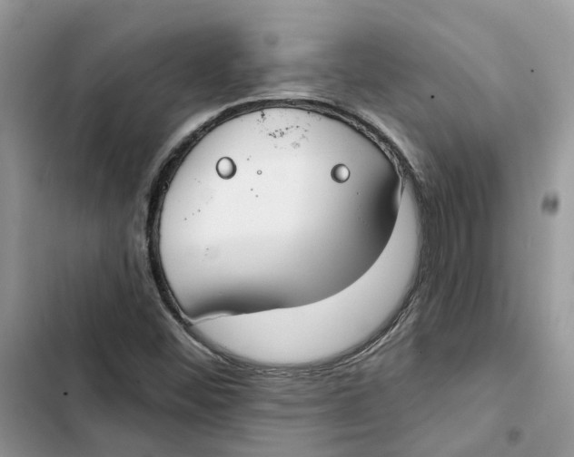 X0000103281452200809191755