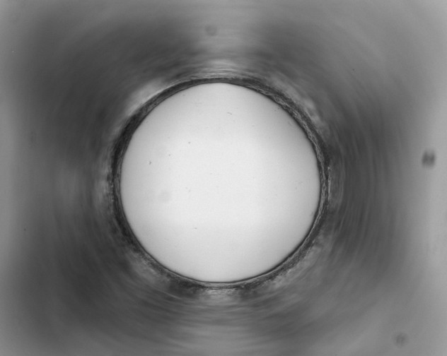 X0000103281453200809191755