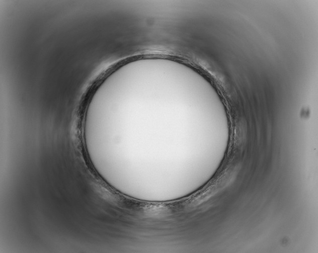 X0000103281454200809191755