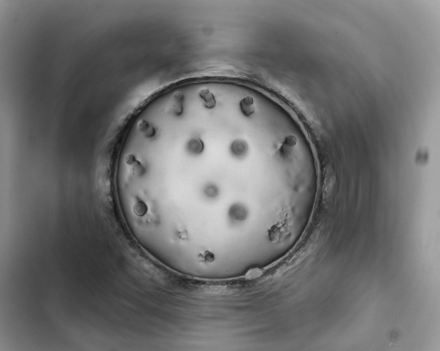 X0000103281455200809191755