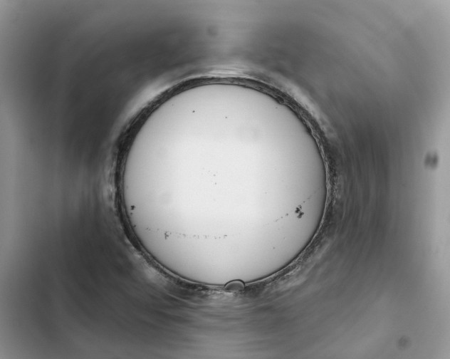 X0000103281456200809191755