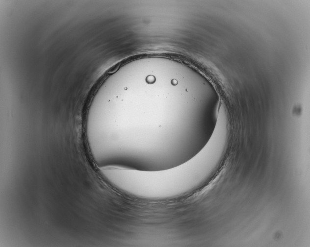 X0000103281457200809191755