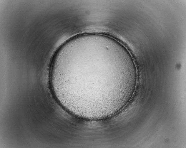 X0000103281459200809191755