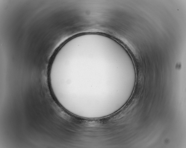 X0000103281460200809191755