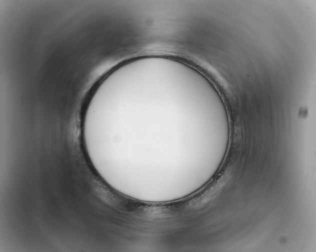 X0000103281461200809191755