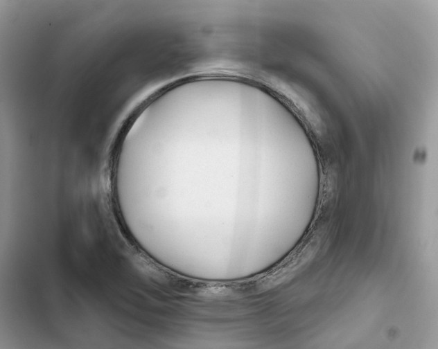 X0000103281462200809191754