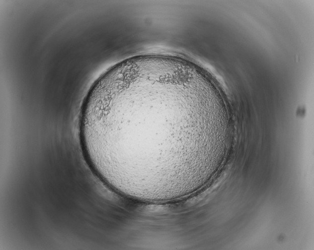 X0000103281463200809191754