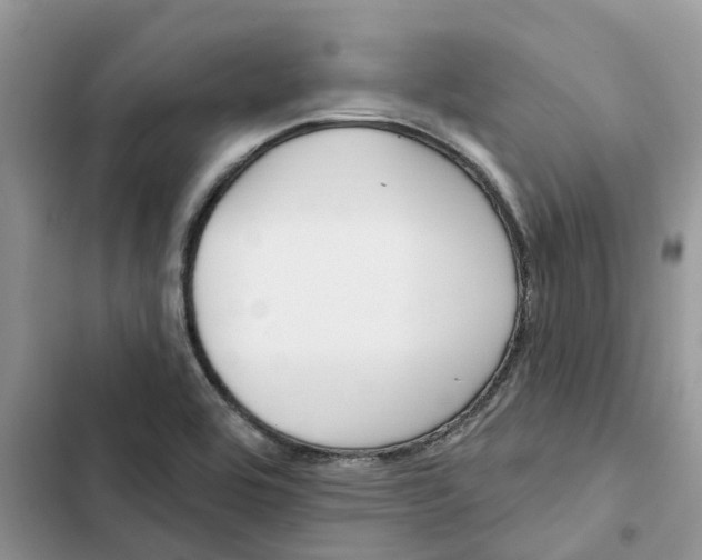 X0000103281464200809191754