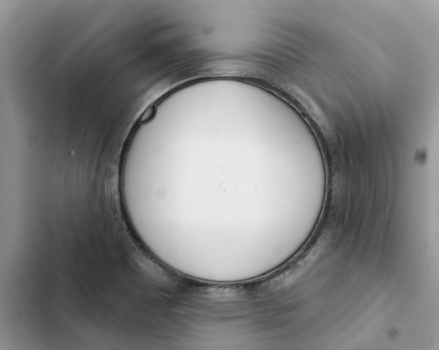 X0000103281465200809191754