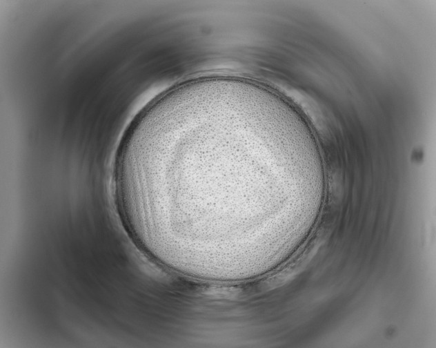 X0000103281466200809191754