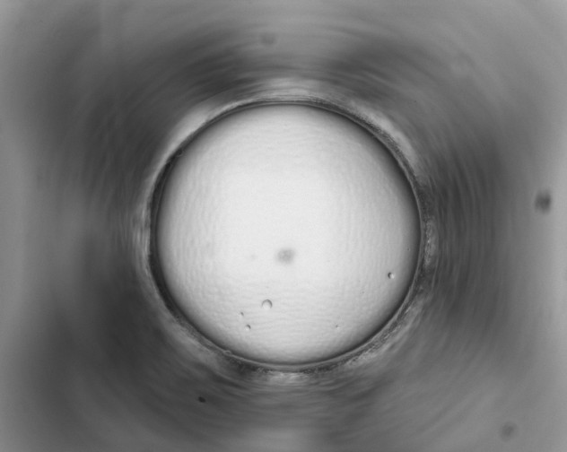 X0000103281467200809191754