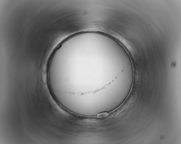 X0000103281468200809191754