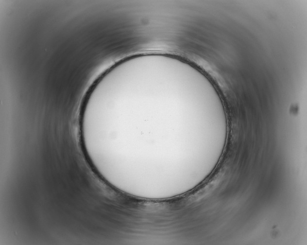 X0000103281469200809191754