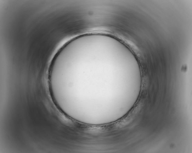 X0000103281470200809191754