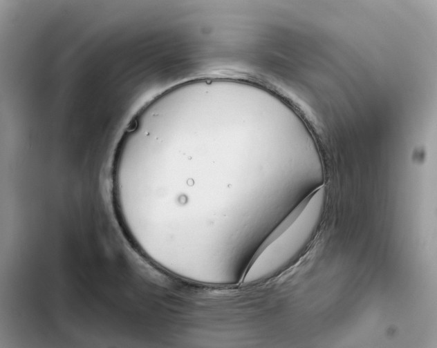 X0000103281471200809191754