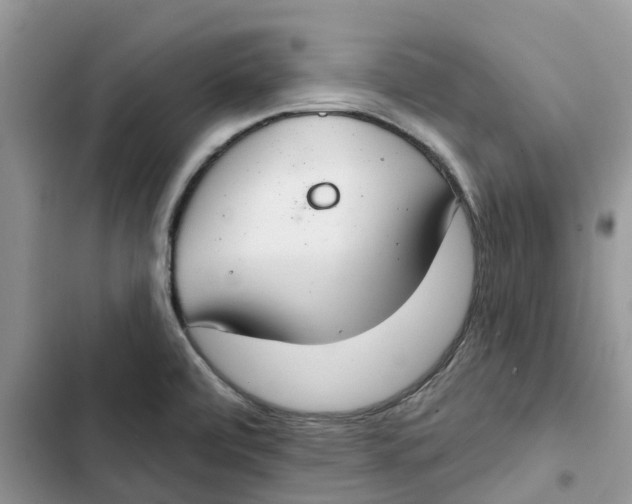 X0000103281472200809191754