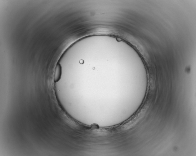 X0000103281473200809191754