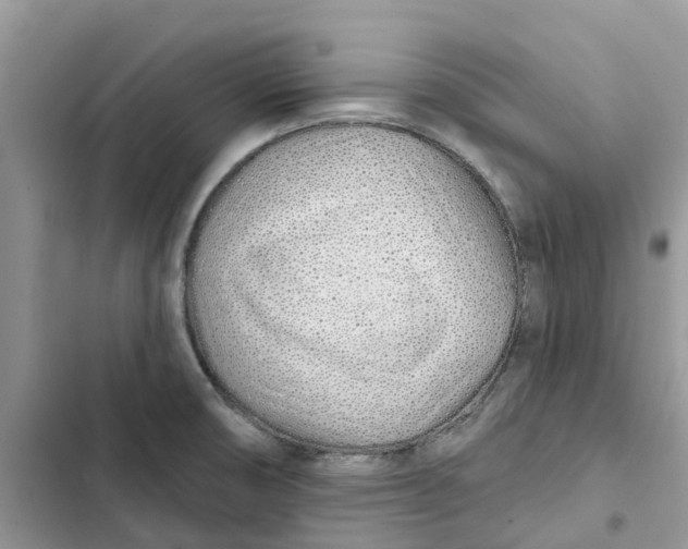 X0000103281474200809191754