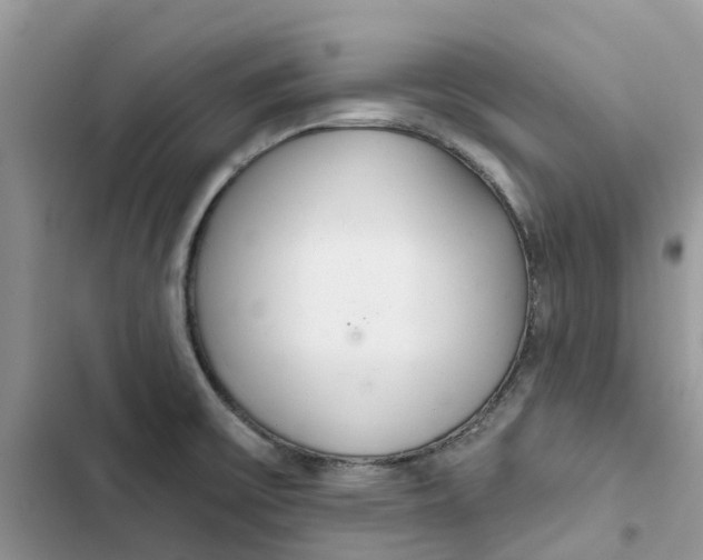 X0000103281475200809191754