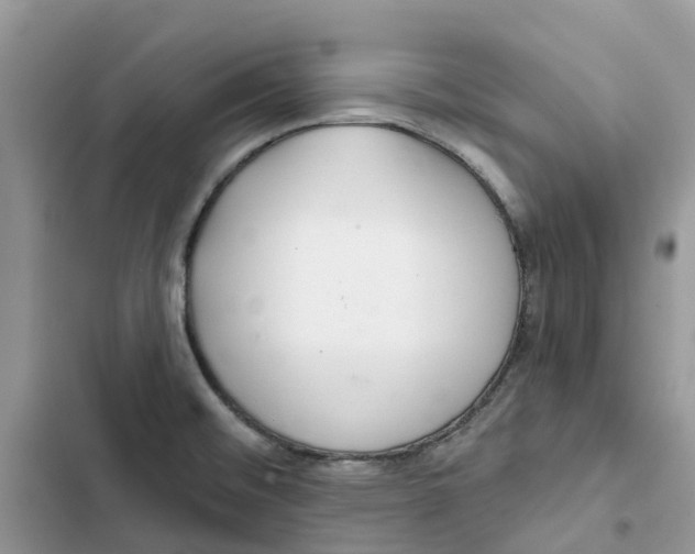 X0000103281476200809191754