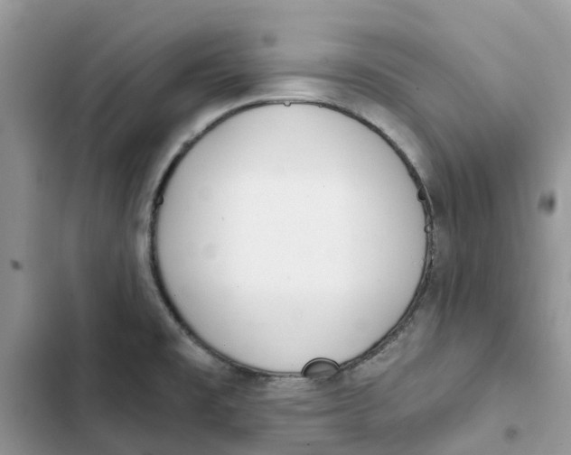 X0000103281477200809191754