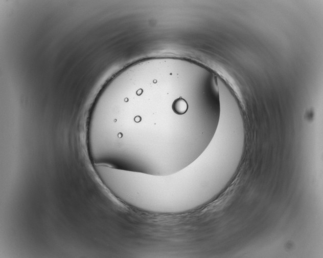 X0000103281480200809191754