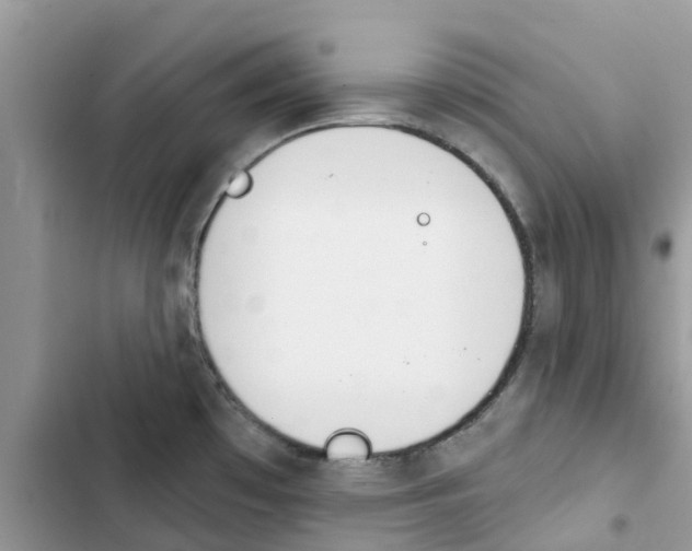 X0000103281481200809191754