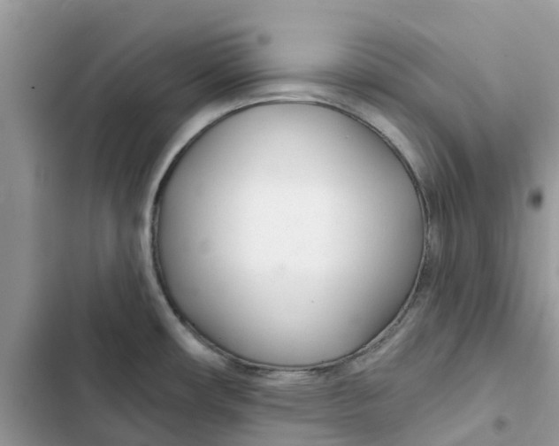 X0000103281482200809191754