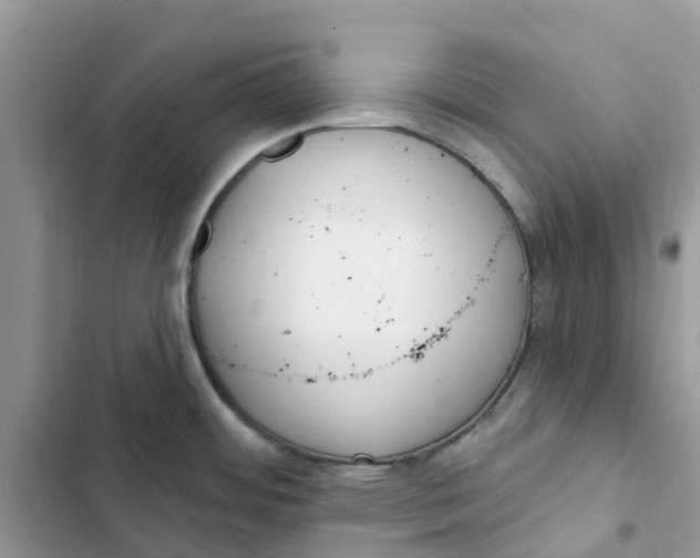 X0000103281484200809191754