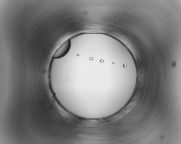 X0000103281485200809191754