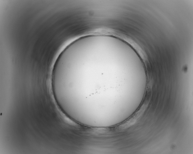 X0000103281486200809191754