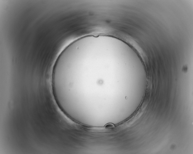 X0000103281487200809191754