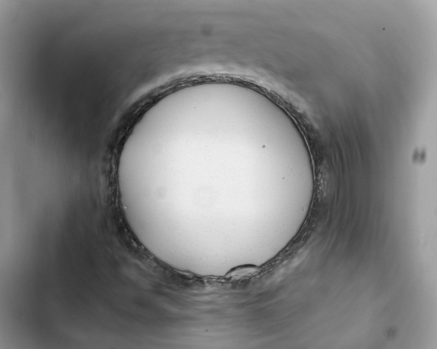 X0000103281494200809191753