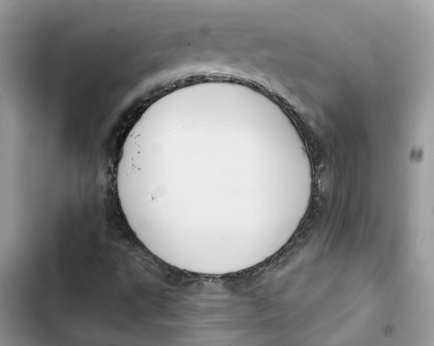 X0000103281495200809191753