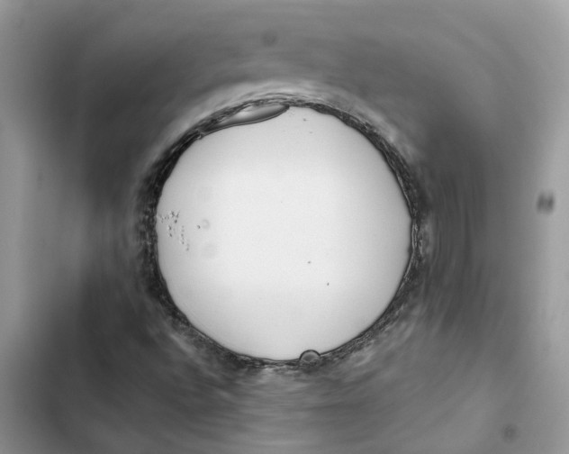 X0000103281496200809191753