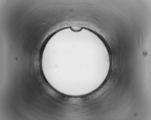 X0000103281498200809191753