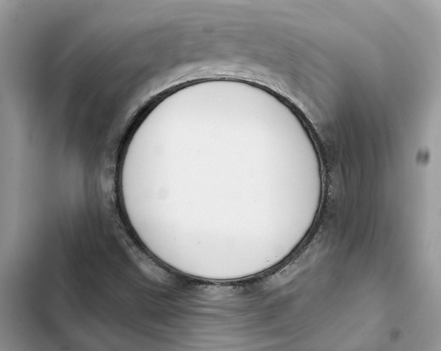 X0000103281499200809191753