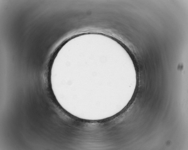 X0000103281502200809191753